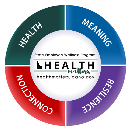 Health Matters Well-Being Wheel