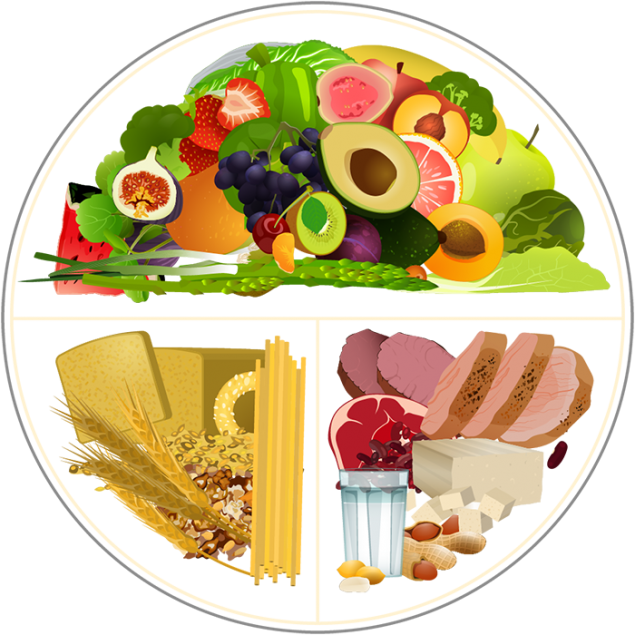 image of plate filled with 1/2 vegetables, 1/4 starchy foods, and 1/4 protein foods